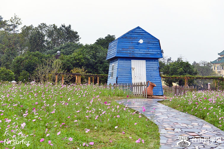 DSC_91496.jpg