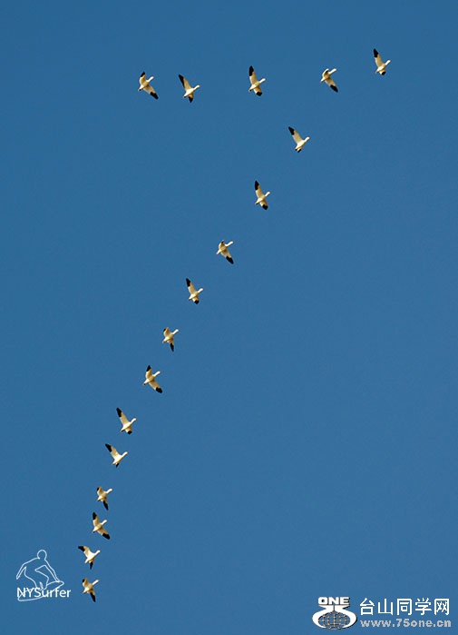 DSC_61413.jpg