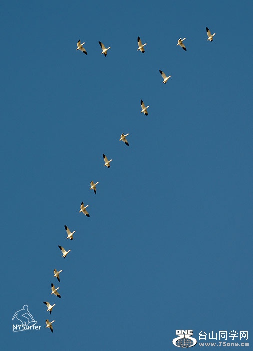 DSC_61413.jpg