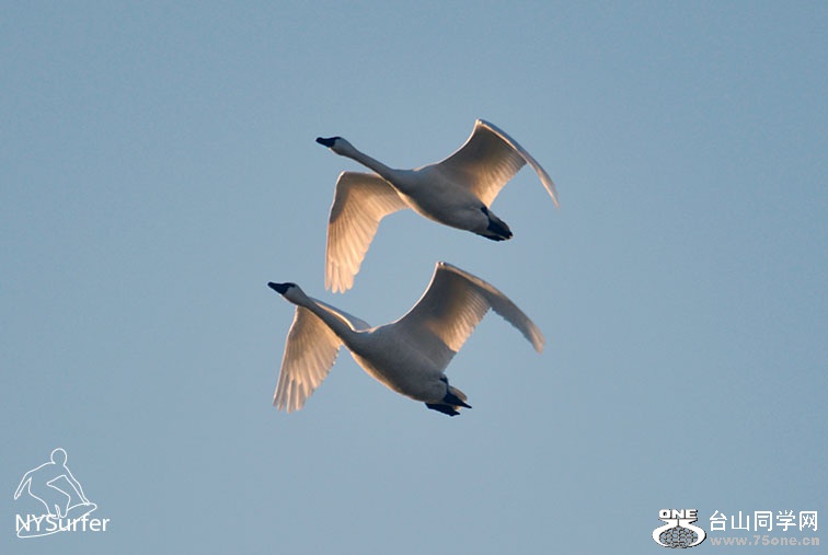 DSC_61270.jpg