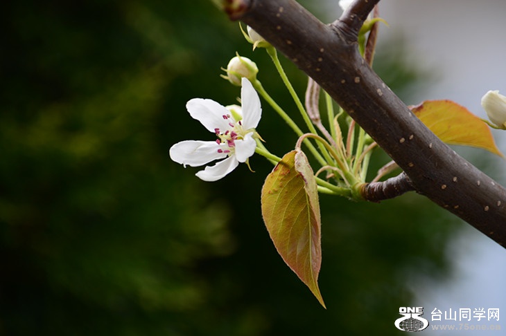 DSC_1625_.jpg