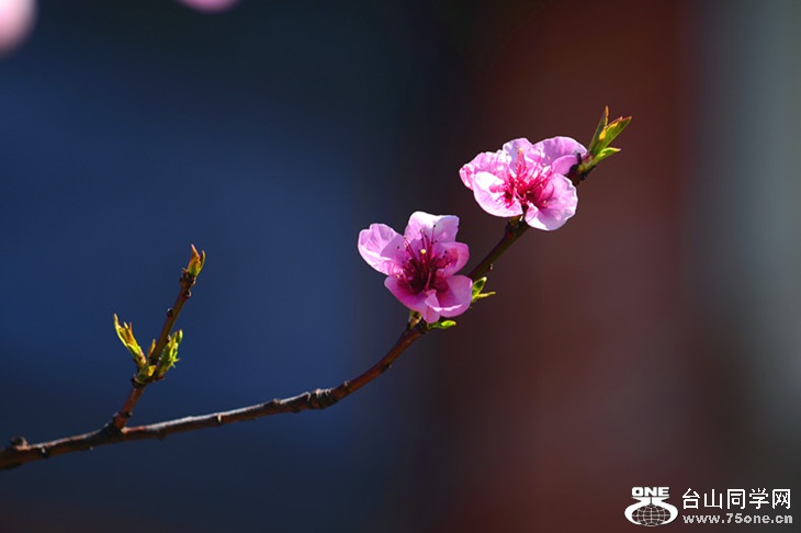 DSC_0610_.jpg