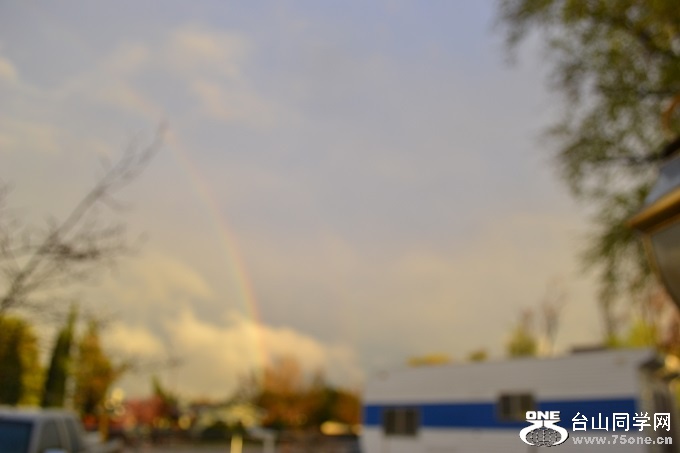 DSC_0785.jpg