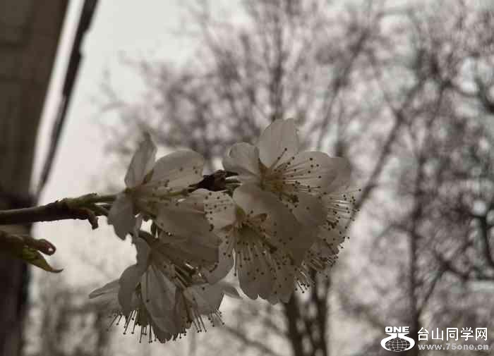1533fd6c7c7747559ac1c55ef12925fe_700_0_max_jpeg_30.jpg