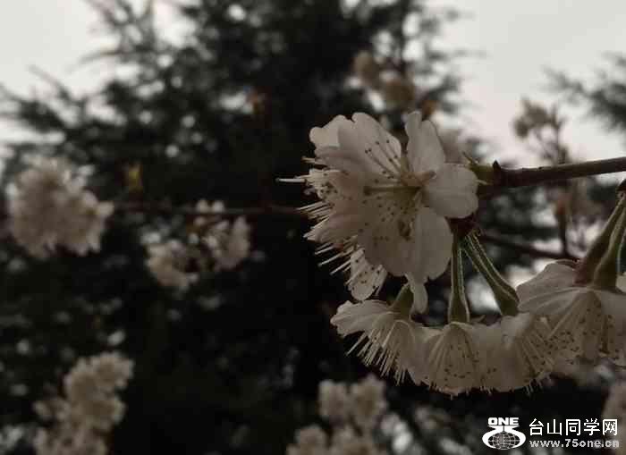 5232515375f540ccb330cbc49dce915b_700_0_max_jpeg_30.jpg