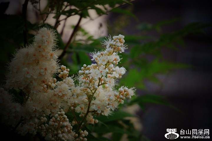 597d6f3e3ce44df282ff17eeb7f9716d_720_0_max_JPG.jpg