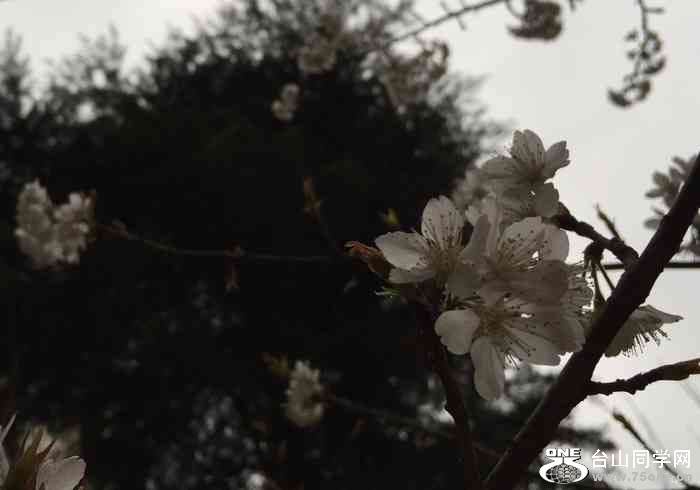 789d27e46dfb4d688965cb21c8ae0523_700_0_max_jpeg_30.jpg