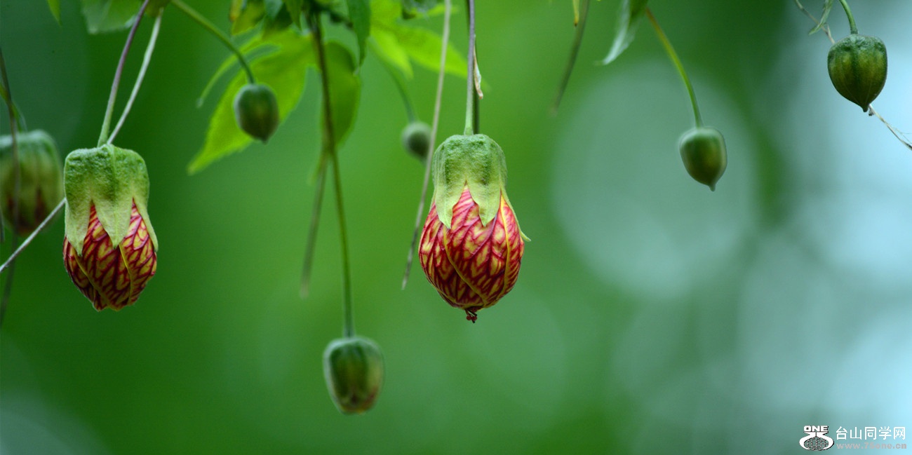 DSC_5150_15.jpg