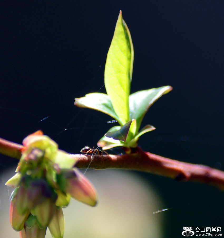 DSC_4802_32.jpg