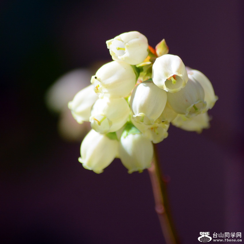 DSC_4686_21.jpg