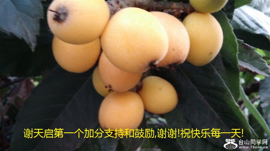 лһӷֺ֧͹,лл!ףÿһ!.jpg