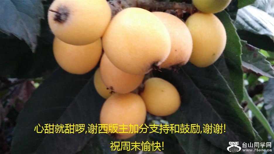 ,лӷֺ֧͹,лл!ףĩ!.jpg