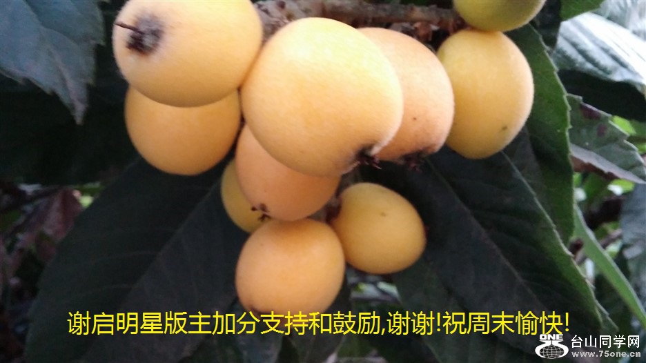 лǰӷֺ֧͹,лл!ףĩ!.jpg