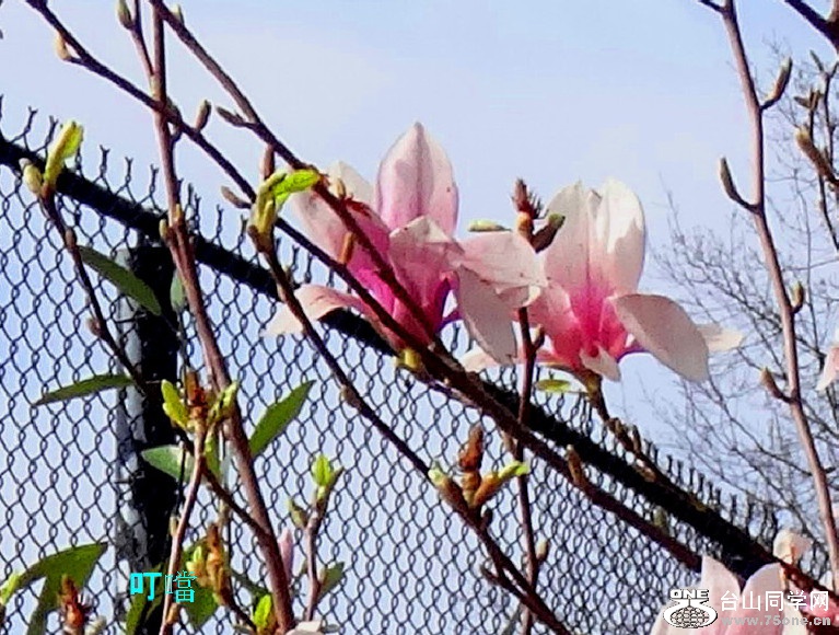 DSC02175a_1.jpg