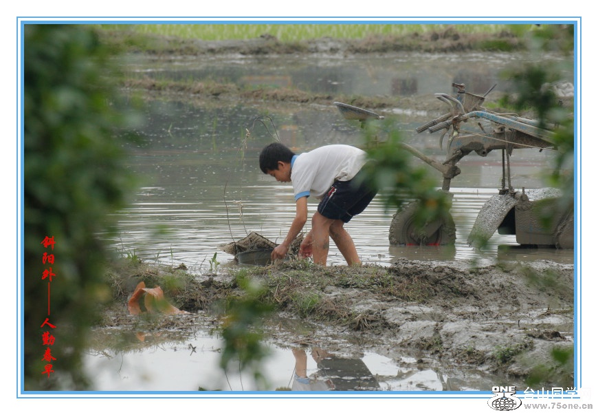 DPP_201.3.8-120035_.jpg