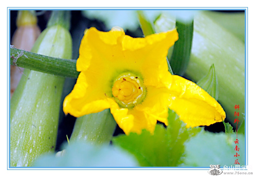 DPP_201.3.8-120116_.jpg