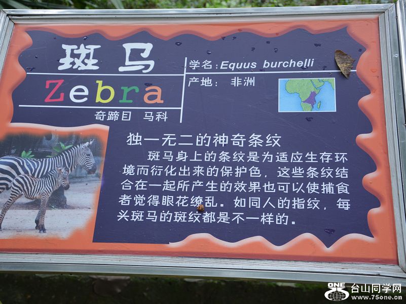 23.1DSC_0288.JPG