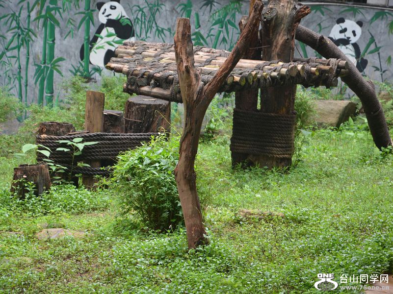 25.4DSC_0234.JPG