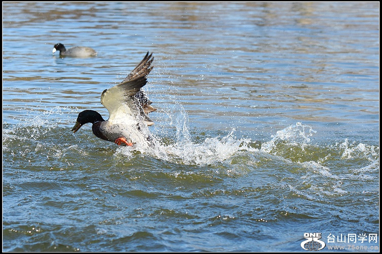 DSC_5808.jpg
