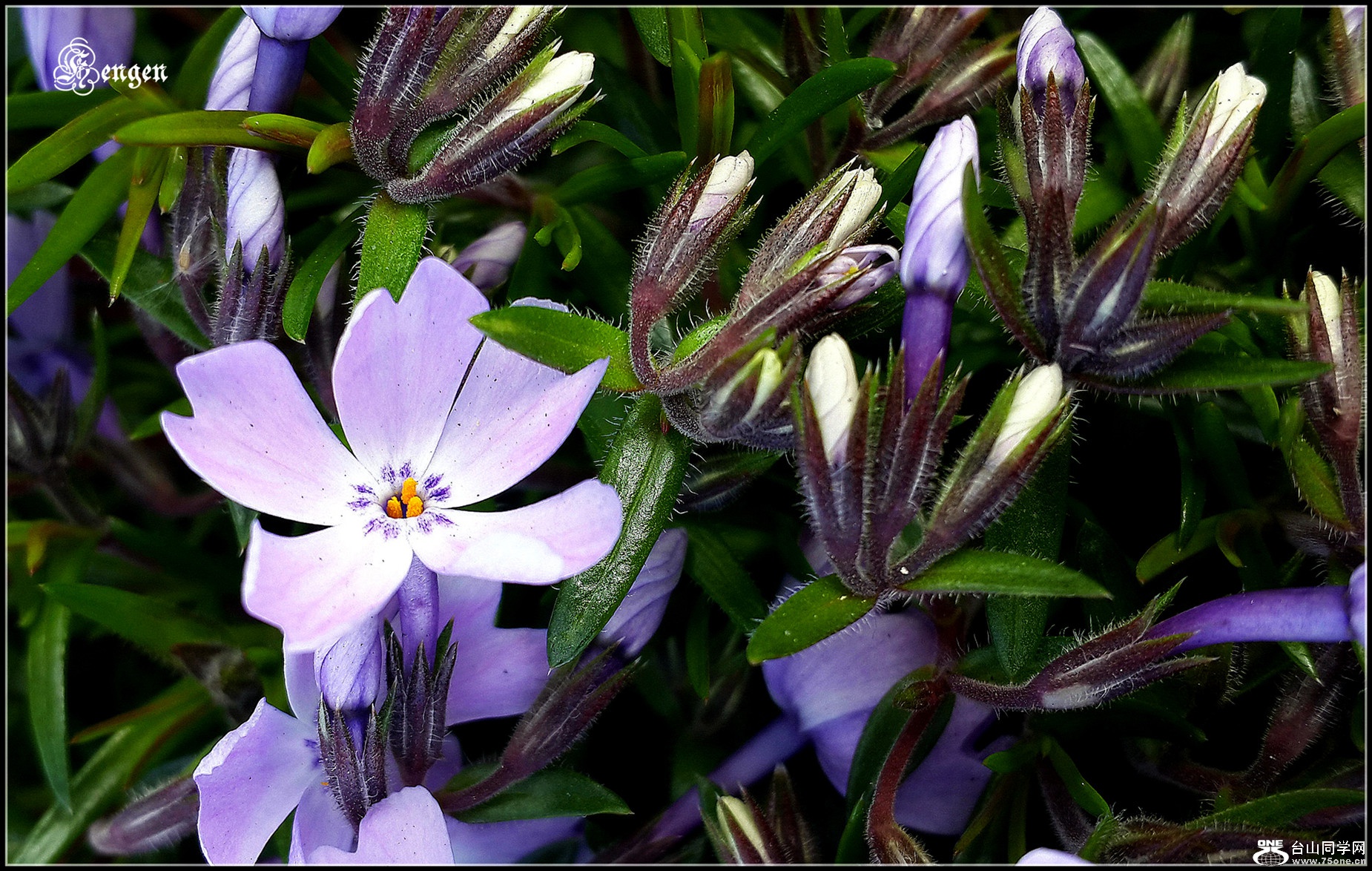 20160414_073525.jpg