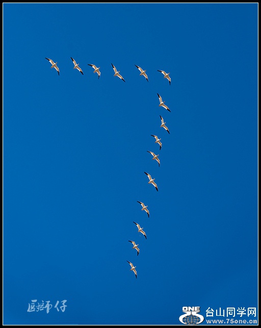 DSC_5995.jpg
