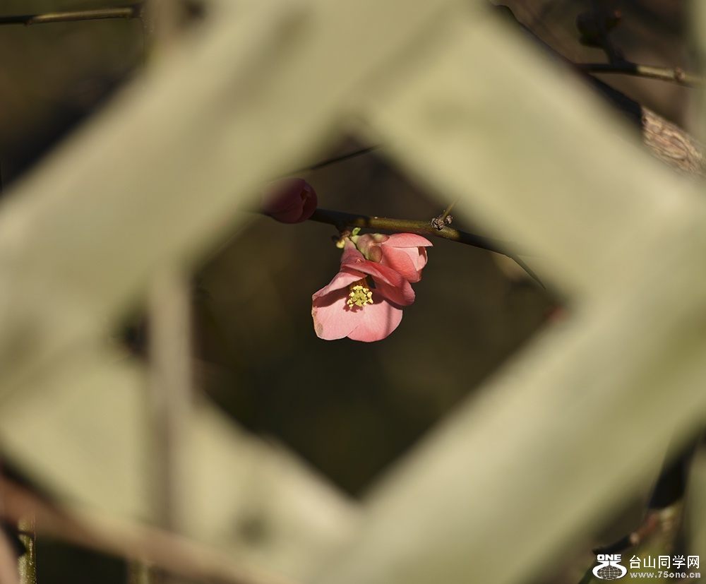 DSC_0436.jpg