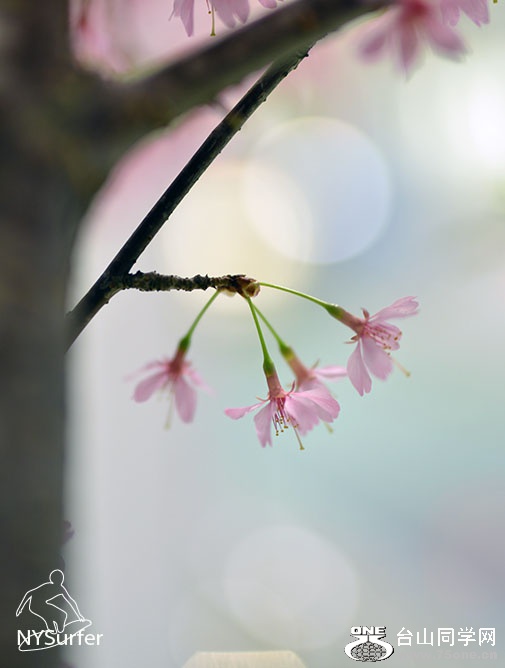DSC_91792.jpg
