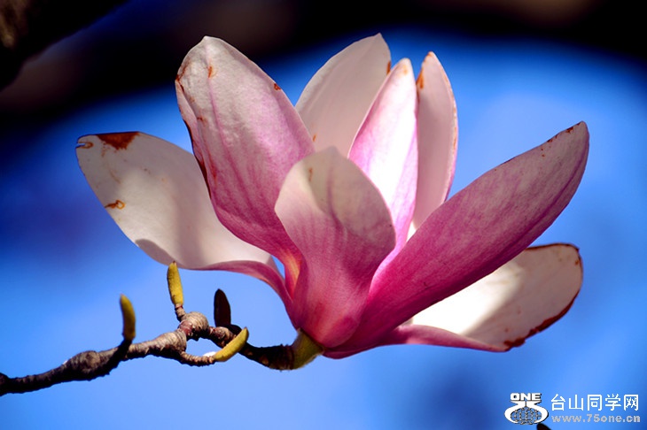 DSC_0649_.jpg
