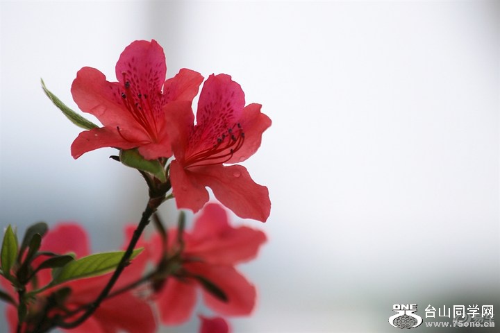 bd6d8be5884e45b7addd6621e27679cb_720_0_max_JPG.jpg