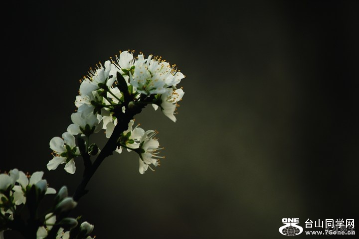 42ca845191894df0bab9c7d089b8b639_720_0_max_JPG.jpg