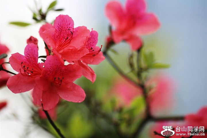 22c7f394dac94ff78abd2c490b4c9cba_720_0_max_JPG.jpg