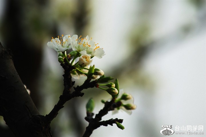 55f313fce3524943a9768c13bb404669_720_0_max_JPG.jpg