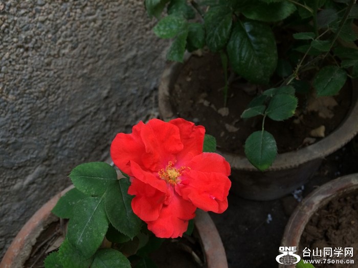 4f07c2844a9c478985852fd39c6aadc7_700_0_max_jpeg.jpg