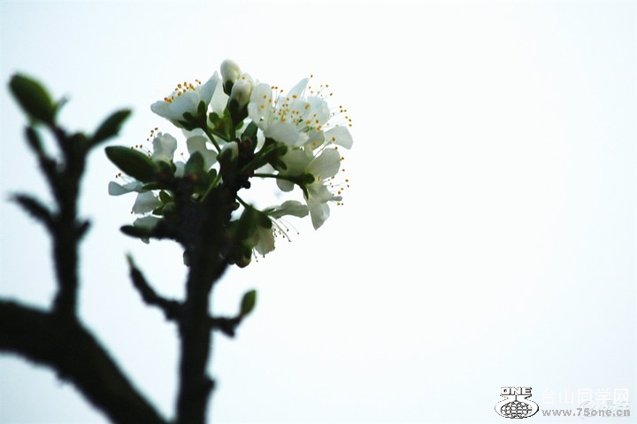 79cde4b8520a4cc7b1b5e076e0372dbb_720_0_max_JPG.jpg