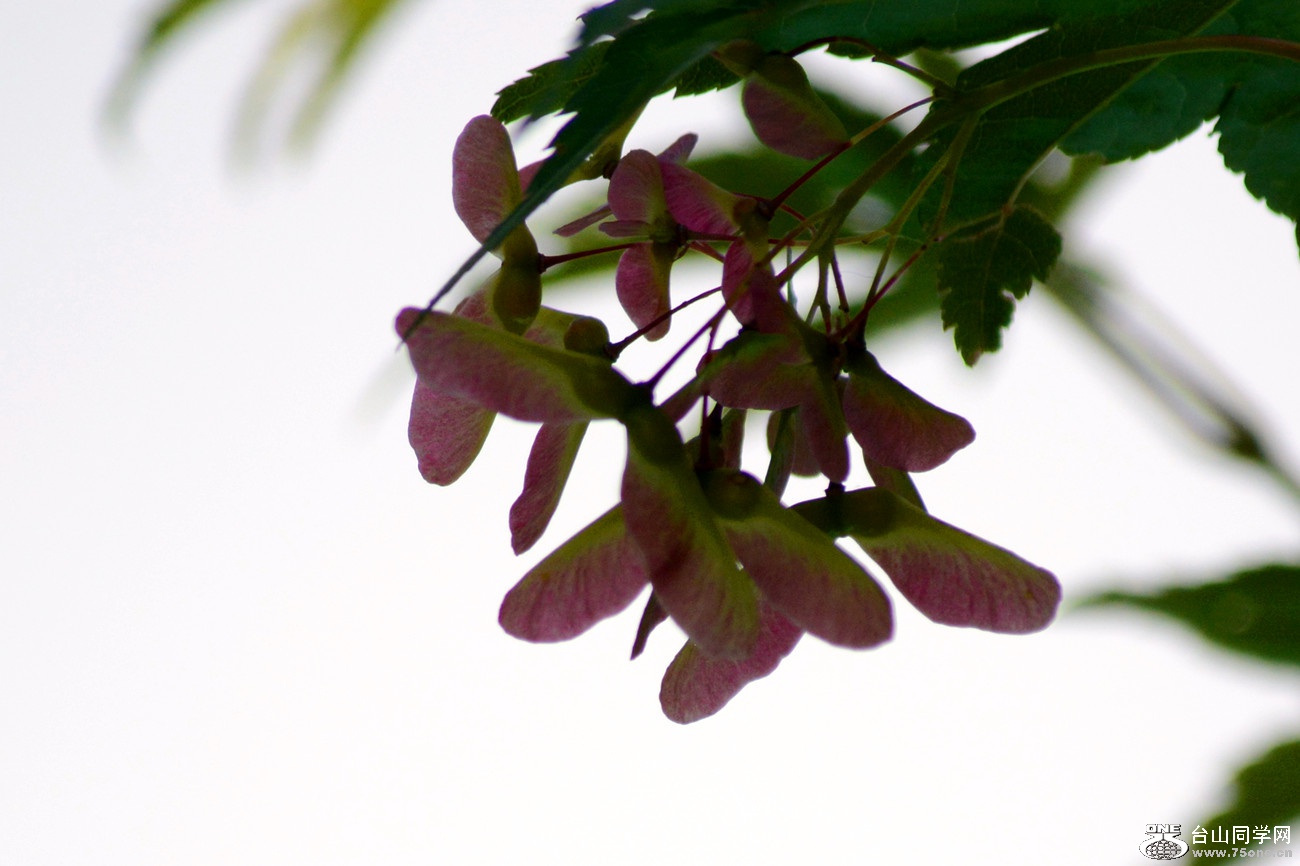 DSC_6576_3.jpg