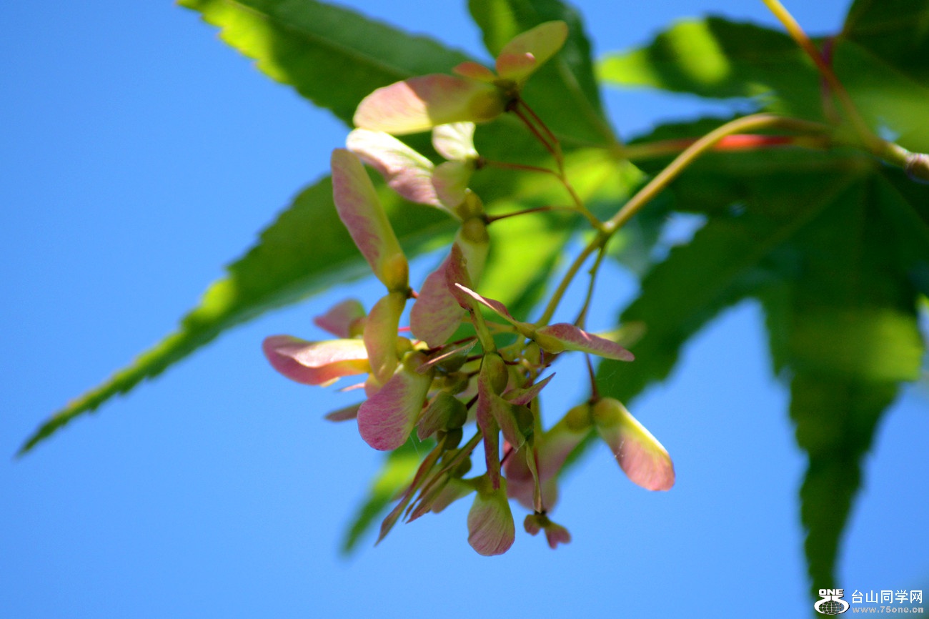 DSC_6578_2.jpg