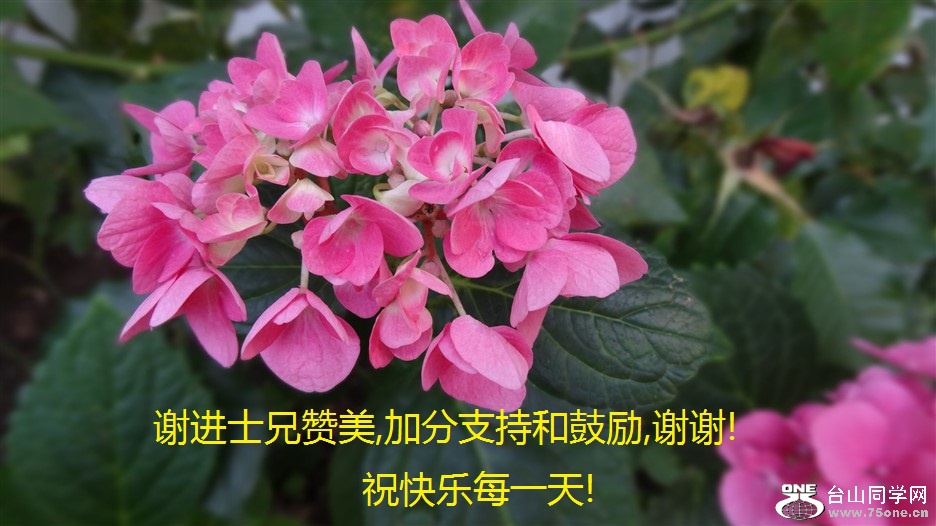 лʿ,ӷֺ֧͹,лл!ףÿһ!.jpg