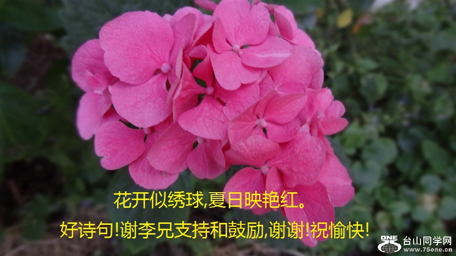 ,ӳ޺졣ʫ!лֺ֧͹,лл!ף!.jpg