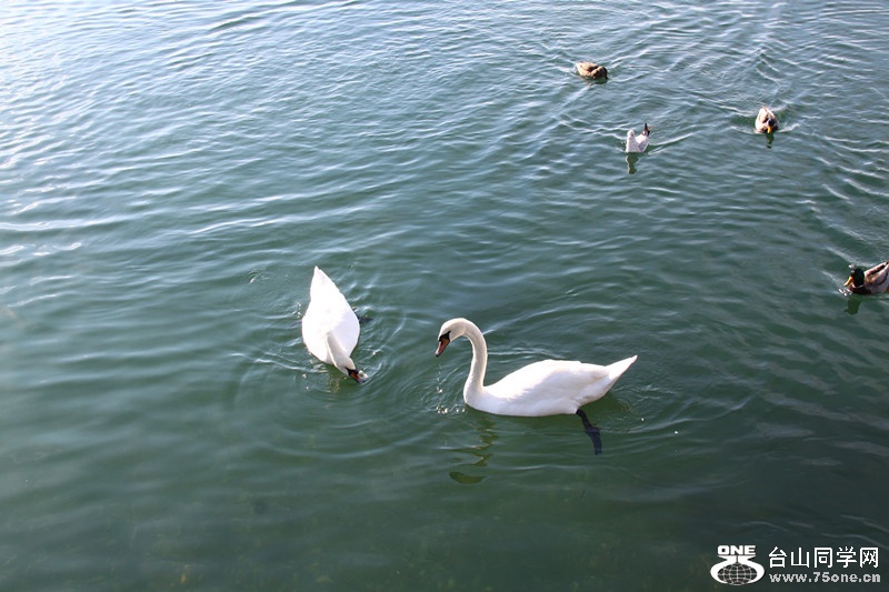 IMG_8222_.jpg
