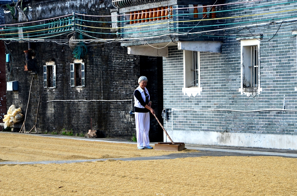 DSC_7335.JPG