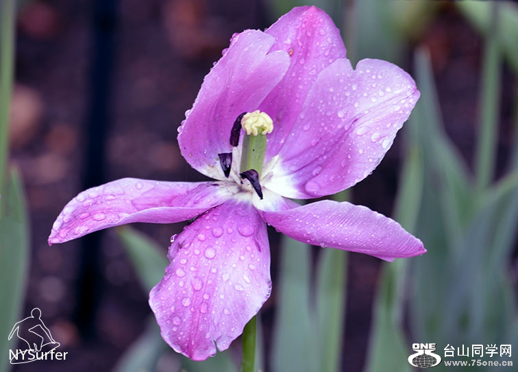 DSC_51901.jpg