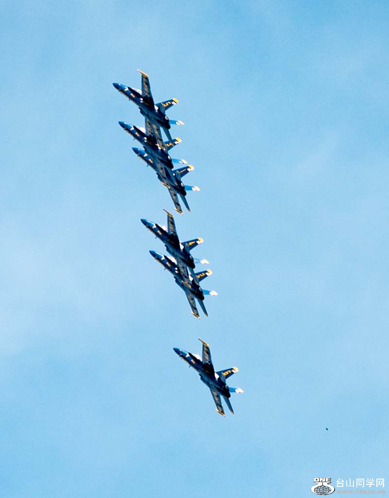 537.jpg