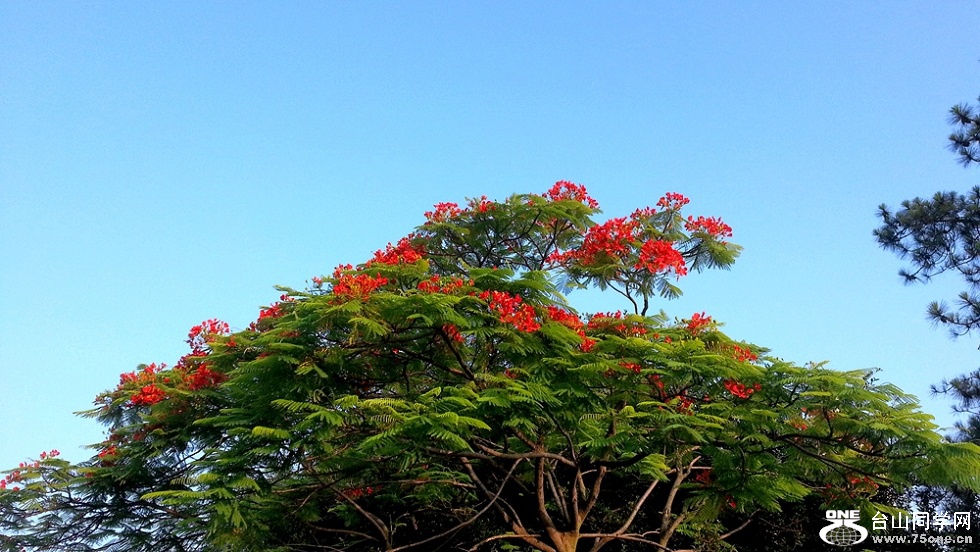 20160525_064341_.jpg
