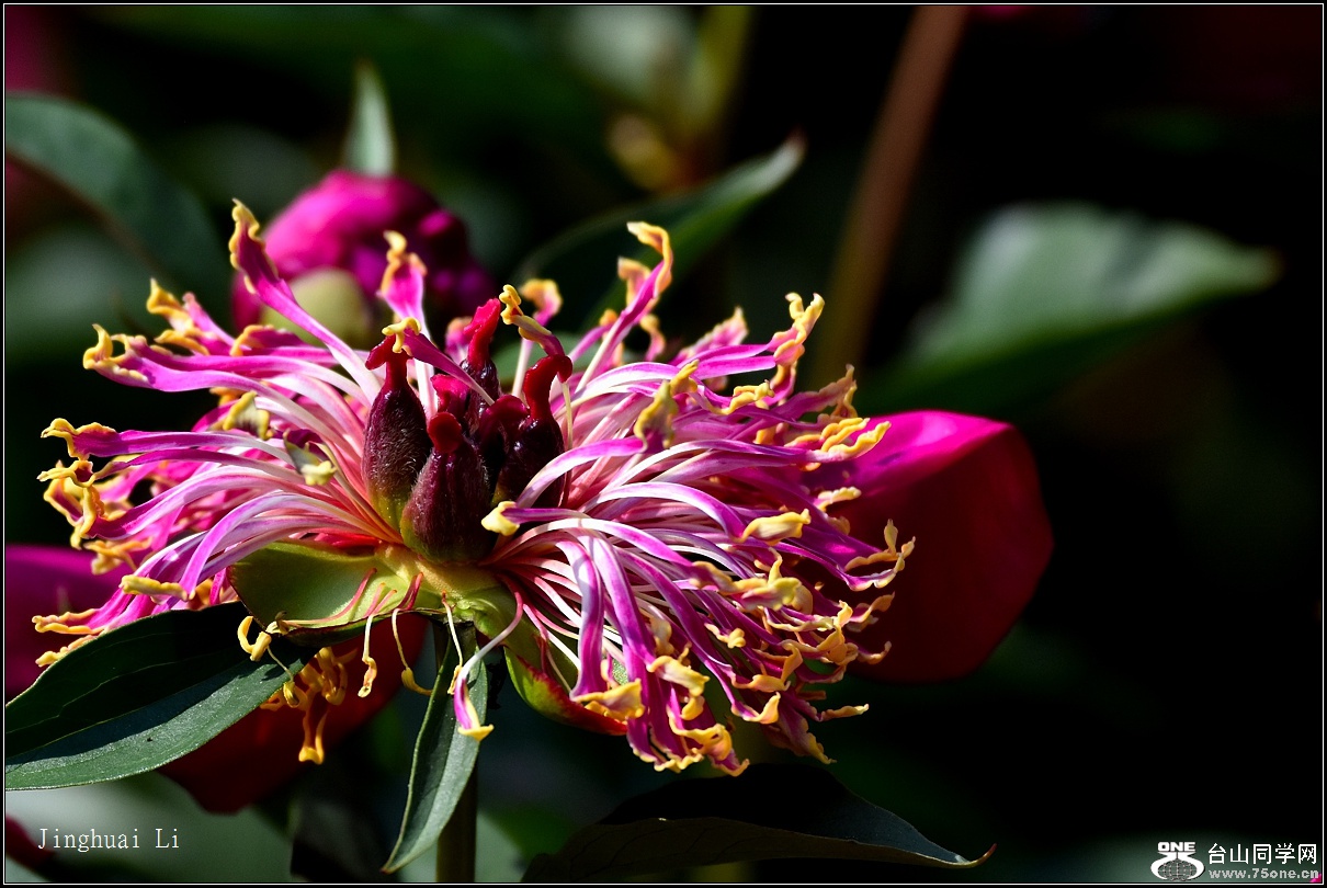 DSC_5982.jpg