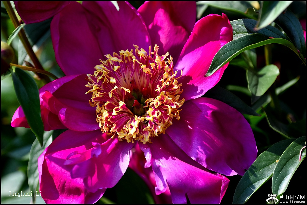 DSC_5938.jpg