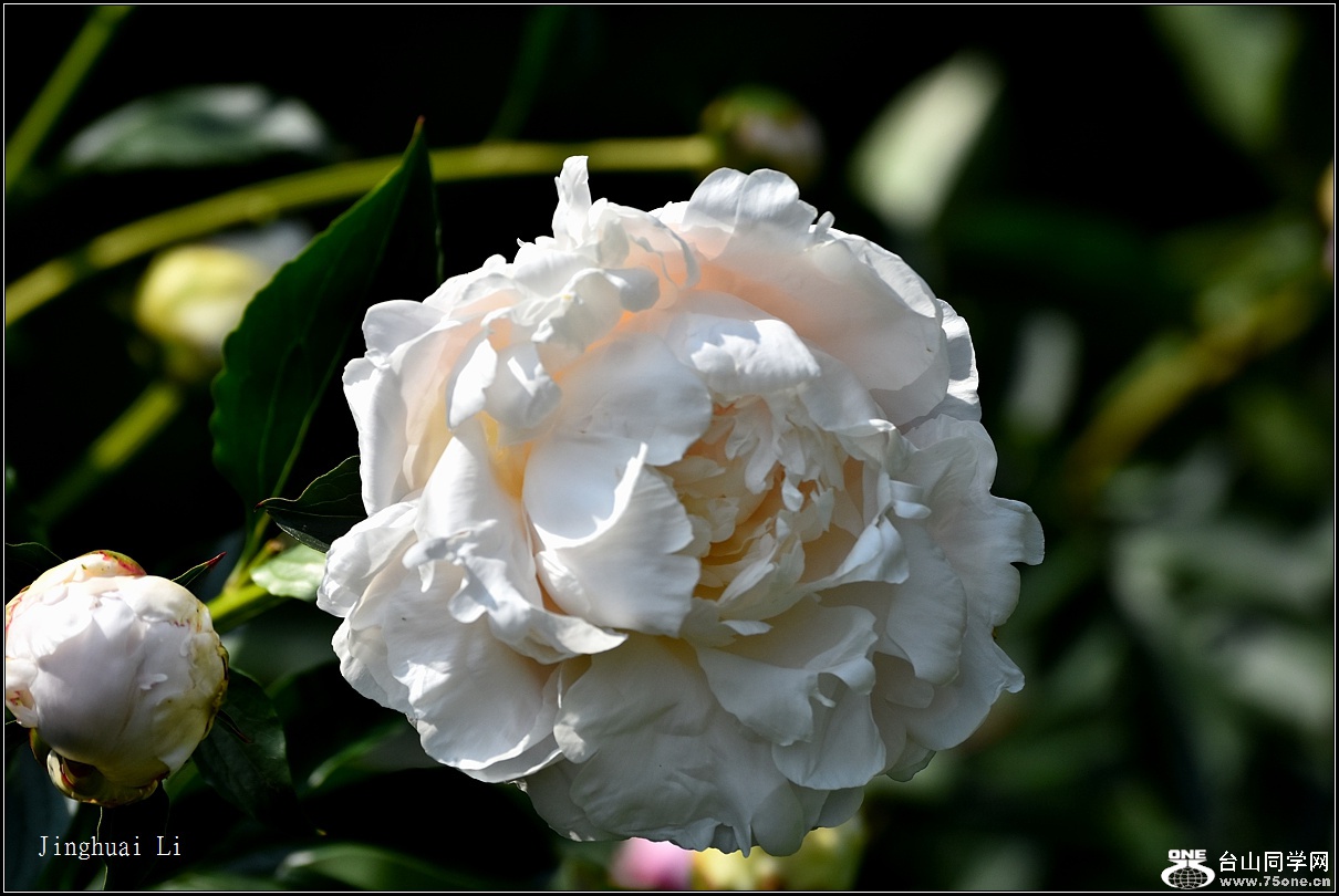 DSC_5920.jpg