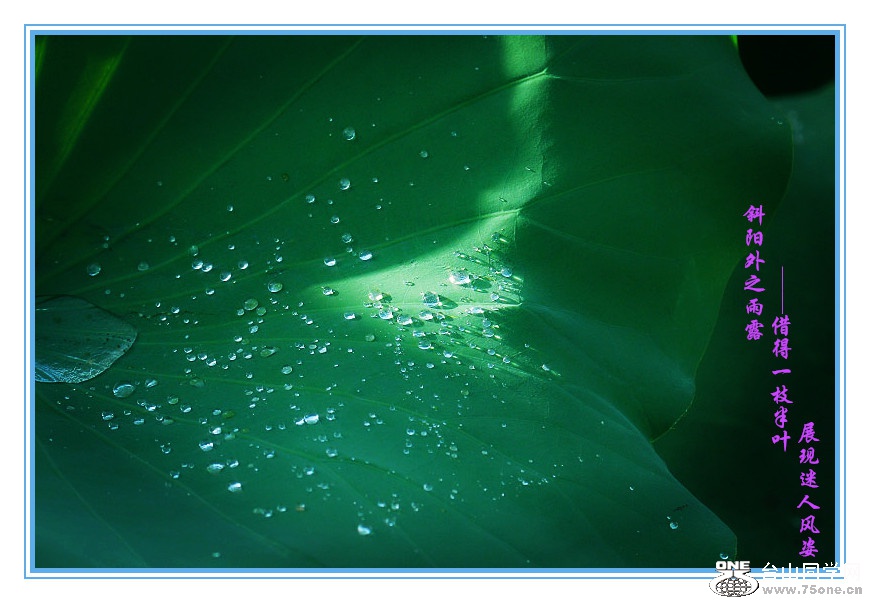 DPP_201.4.8-40422_.jpg