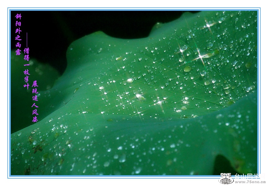 DPP_201.4.8-40202_.jpg