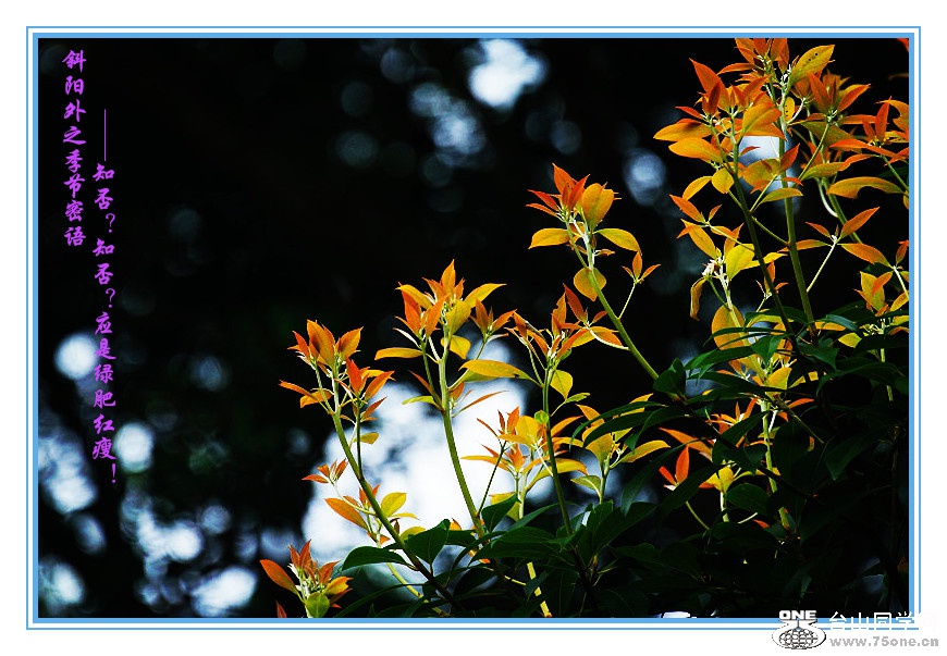 DPP_201.4.8-40139_.jpg
