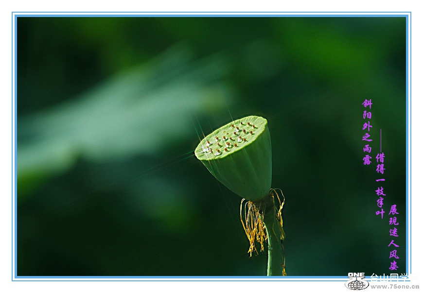 DPP_201.4.8-40409_.jpg